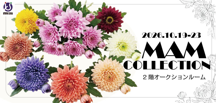 26.マムコレクション